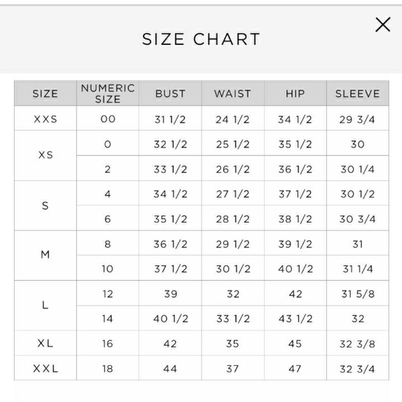 🌷NWT LOFT Button Up - Picture 5 of 6